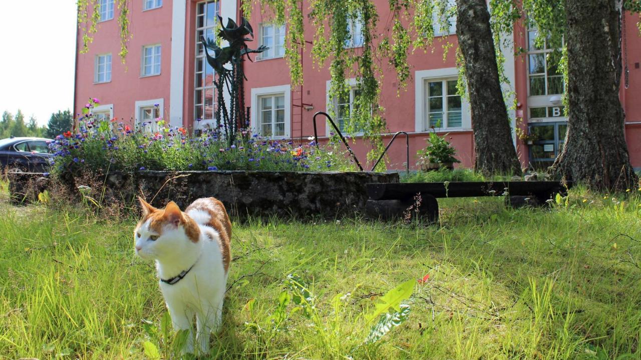 Vanha Koulu Suolahti Eksteriør billede